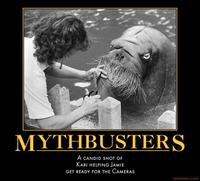 Mythbusters
