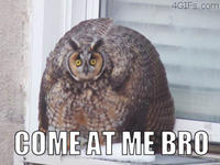 COME AT ME BRO