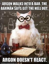 Chemistry Cat
