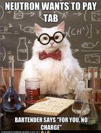 Chemistry Cat