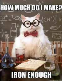 Chemistry Cat