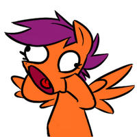 Pony Reactions