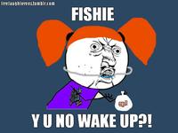 "Y U NO" Guy
