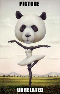 Picture Unrelated