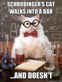 Chemistry Cat