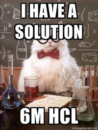 Chemistry Cat