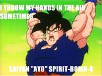 I Throw My Hands Up In The Air Sometimes Saying Ayo