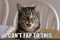 I Can't Fap to This