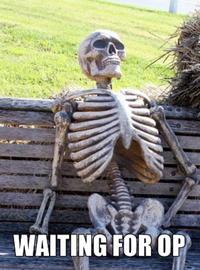 Waiting for OP/OP Will Surely Deliver