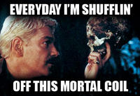 Everyday I'm Shufflin'