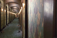 Cinemagraphs