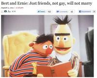 Gay Test