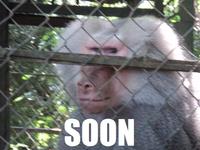 SOON