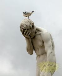 Facepalm
