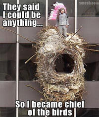 They Told Me I Could Be Anything I Wanted