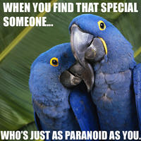 Paranoid Parrot