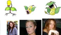 Celebrity Pokemon Evolutions