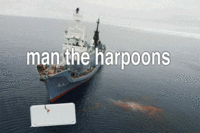 iPhone Whale
