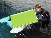 iPhone Whale
