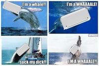 iPhone Whale