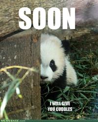 SOON