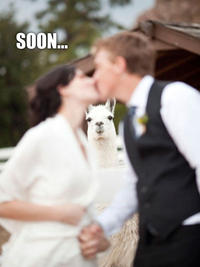 SOON