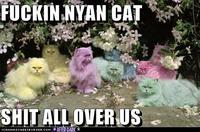 Nyan Cat / Pop Tart Cat
