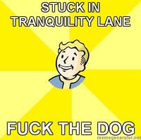 Fallout