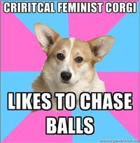 Critical Feminist Corgi