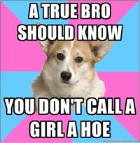 Critical Feminist Corgi