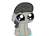 Pony Reactions