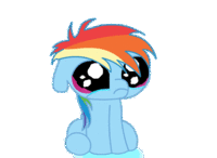 Pony Reactions