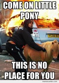 Ponies