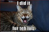 I Did It for the Lulz