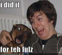 I Did It for the Lulz