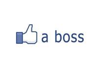 Like A Boss