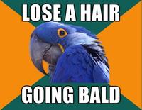 Paranoid Parrot