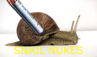 Snail_Nukes.jpg