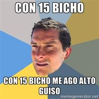 Alto guiso