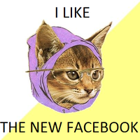Hipster Kitty