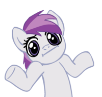 Pony Reactions