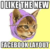 Hipster Kitty