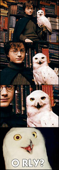 O RLY?