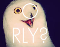 O RLY?