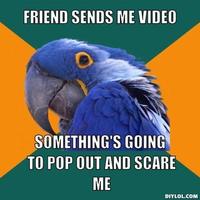 Paranoid Parrot