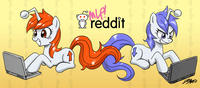 reddit