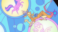 Discord