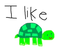 I Like Turtles