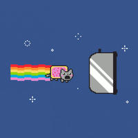 Nyan Cat / Pop Tart Cat