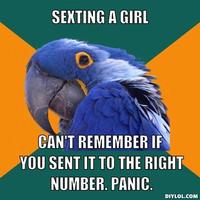Paranoid Parrot